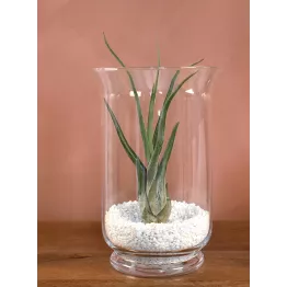 Photophore en verre à décorer