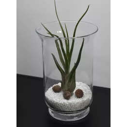 Photophore en verre à décorer