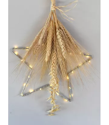 Etoile lumineuse intérieur