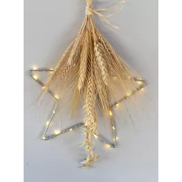 Etoile lumineuse intérieur