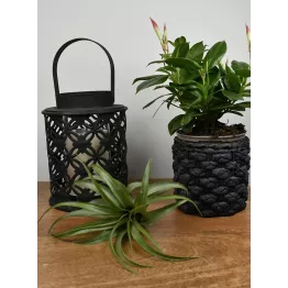 Petite lanterne noire