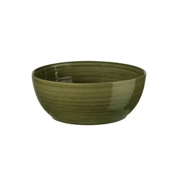 Poke bowl original couleur endamame
