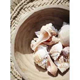 Bol en bois de Paulownia