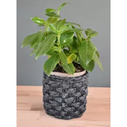 Petit cache-pot motif tressé noir modèle Corte