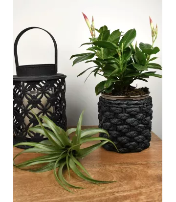 Petit cache-pot motif tressé noir modèle Corte