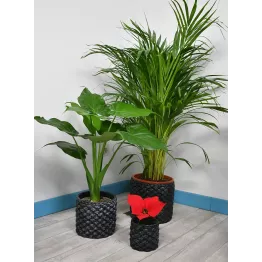 Cache-pot motif tressé noir modèle Corte, modèle médium