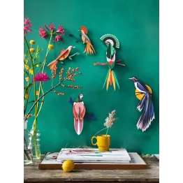 Décoration murale originale oiseau Gili