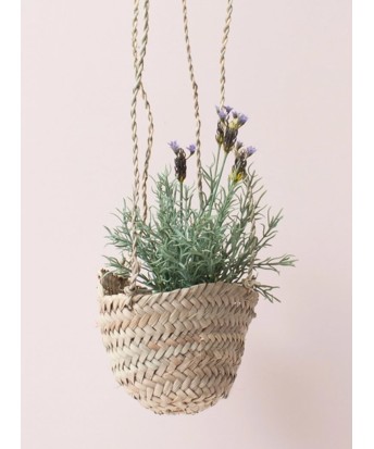 Petit panier suspendu