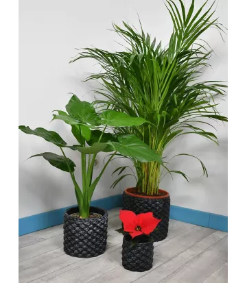 Cache-pot motif tressé noir modèle Corte, modèle large