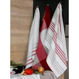 Lot 3 torchons de cuisine