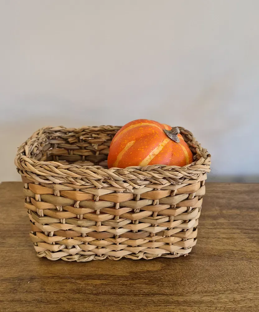 Petit panier de rangement