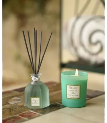 Un mélange subtil de senteurs naturelles pour une note marine rafraichissante