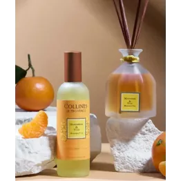 Duo de notes acidulées  et gourmandes pour ce parfum d'intérieur