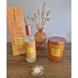 Duo de notes acidulées  et gourmandes pour ce parfum d'intérieur