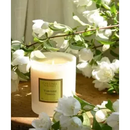 Bougie parfumée naturelle Verveine citronnée