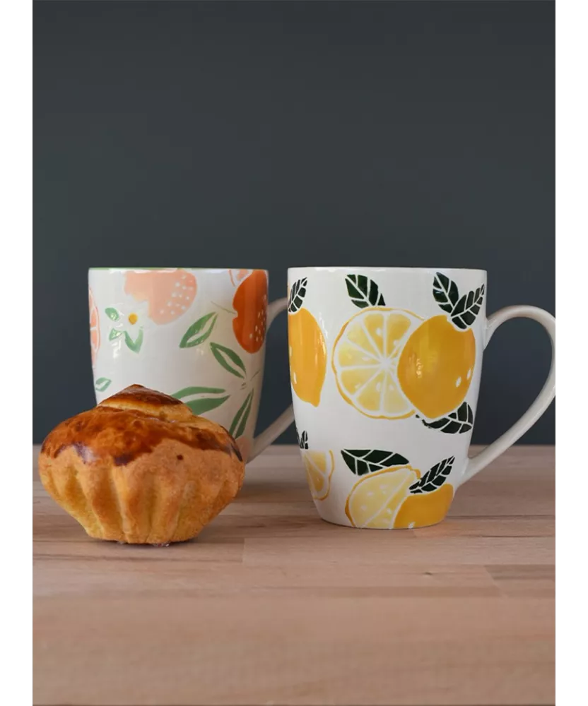 Duo de 2 mugs colorés 30 cl