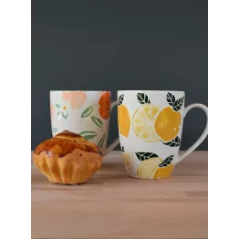 Duo de 2 mugs colorés 30 cl