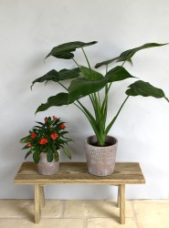 Cache-pot nature en terre...
