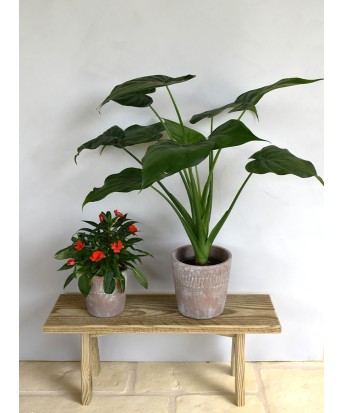 Cache-pot nature en terre cuite taille médium