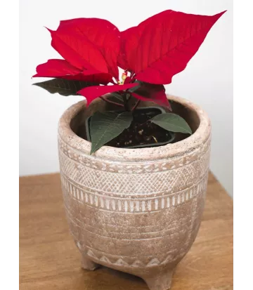 Cache-pot en terre cuite sur pieds beige avec motifs. Petit modèle