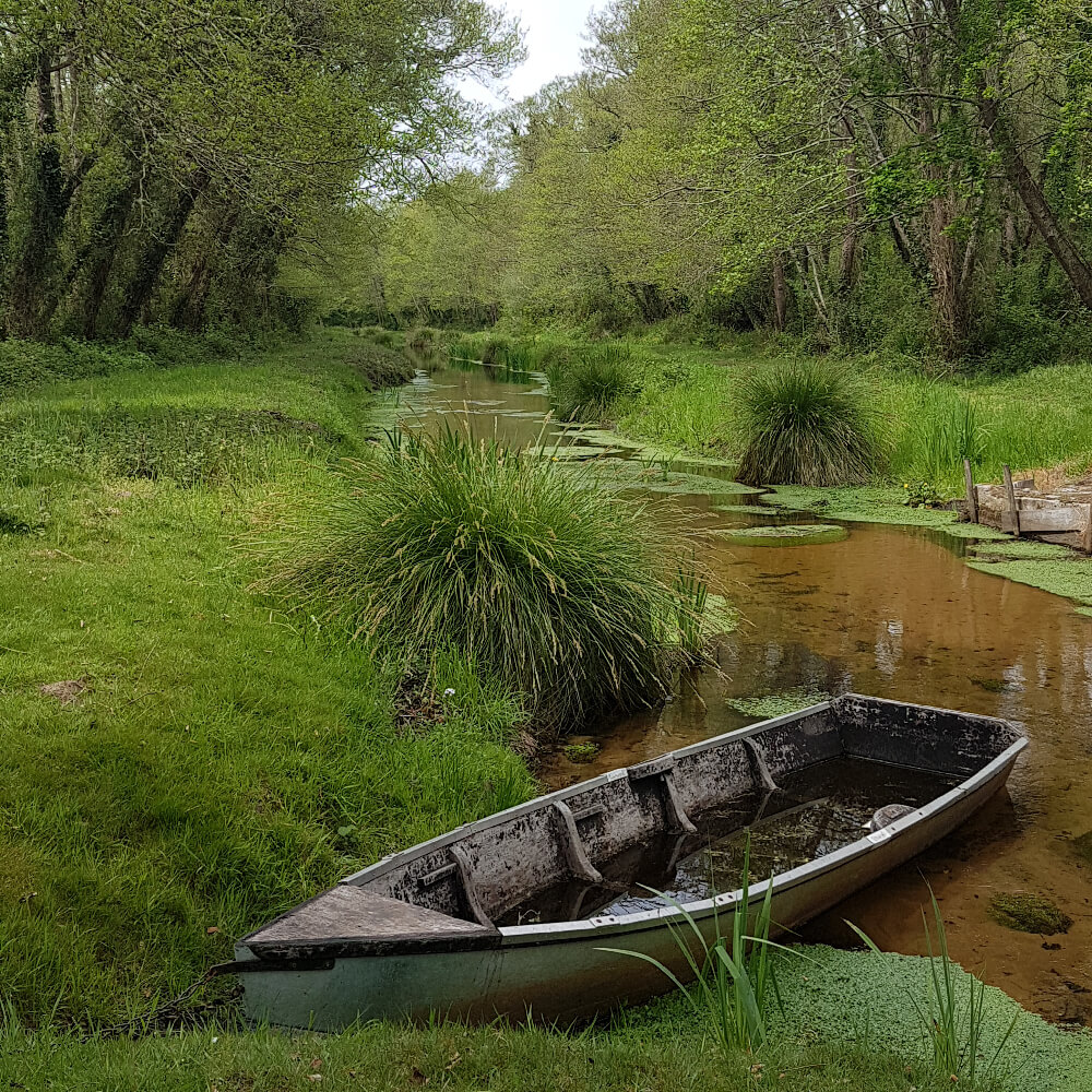 que faire dans les landes, des paysages merveilleux