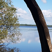 Que faire dans les landes, la nature et le calme nous inspirent